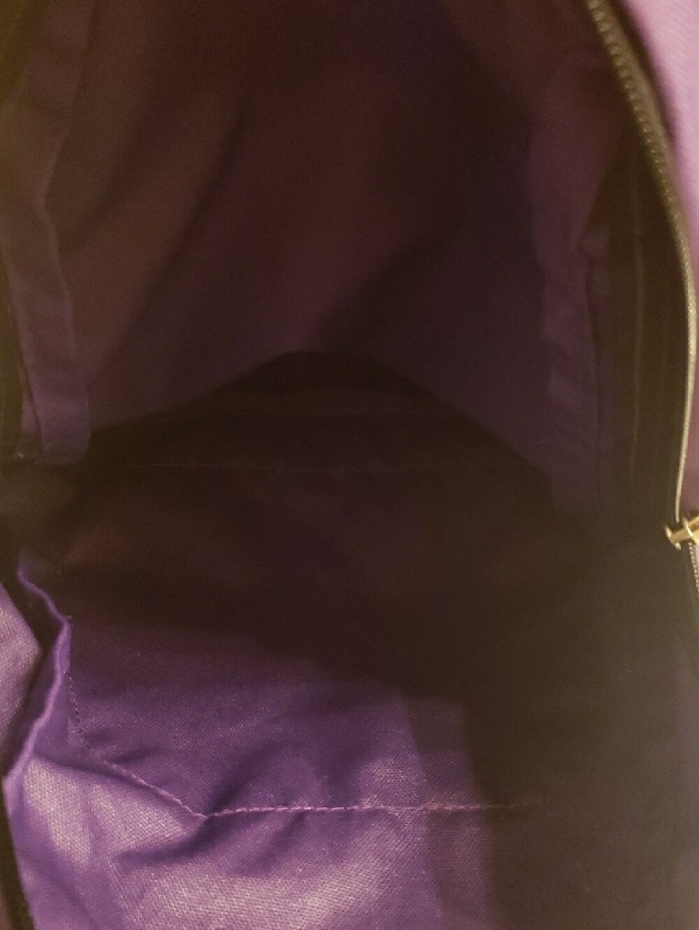 Jansport Purple Everyday Backpack with Black Straps - Picture 3 of 3